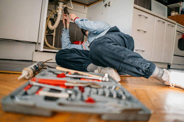 Best Residential Plumbing Services  in Aho Falls, ID